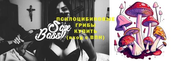 spice Вязьма