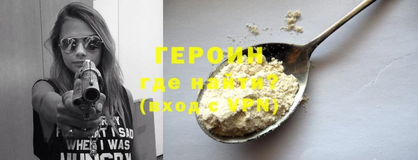 гидра Вяземский