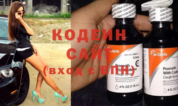 гидра Вяземский