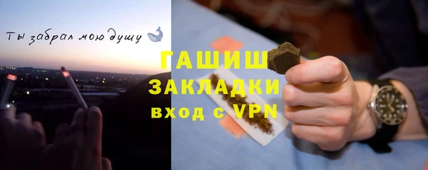 гидра Вяземский