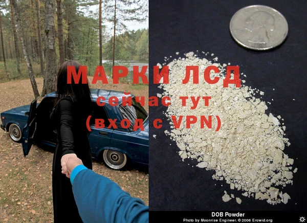 spice Вязьма