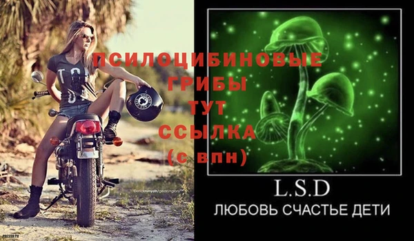 ECSTASY Горно-Алтайск