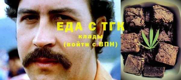 гидра Вяземский