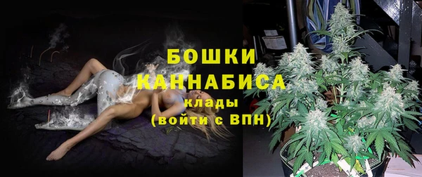 spice Вязьма