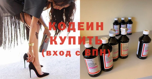 гидра Вяземский