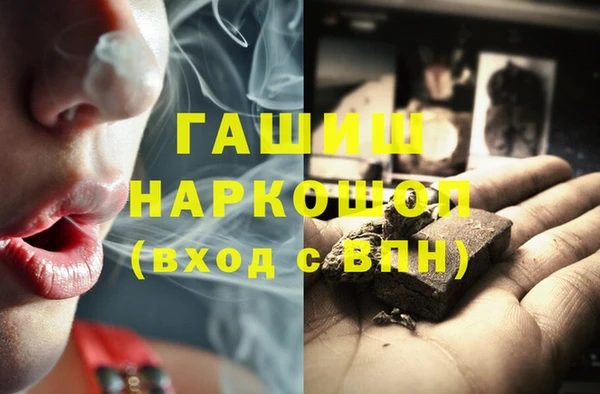 гидра Вяземский