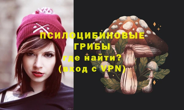 spice Вязьма