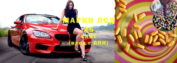 гидра Вяземский