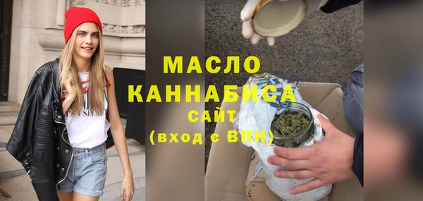 гидра Вяземский