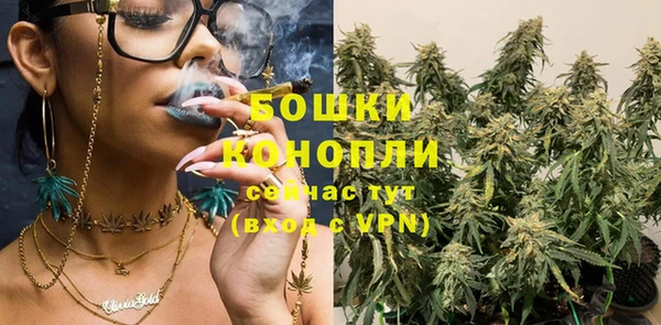 гидра Вяземский