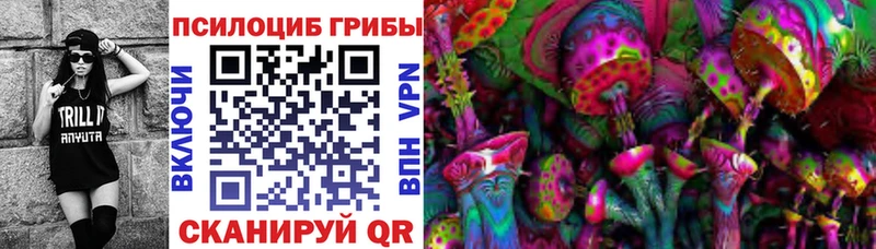 Псилоцибиновые грибы мухоморы  Купить закладки  Ногинск 
